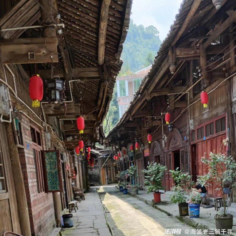 逃离泰莱森林